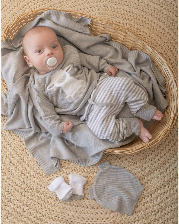 Primer Día Tejido Oveja